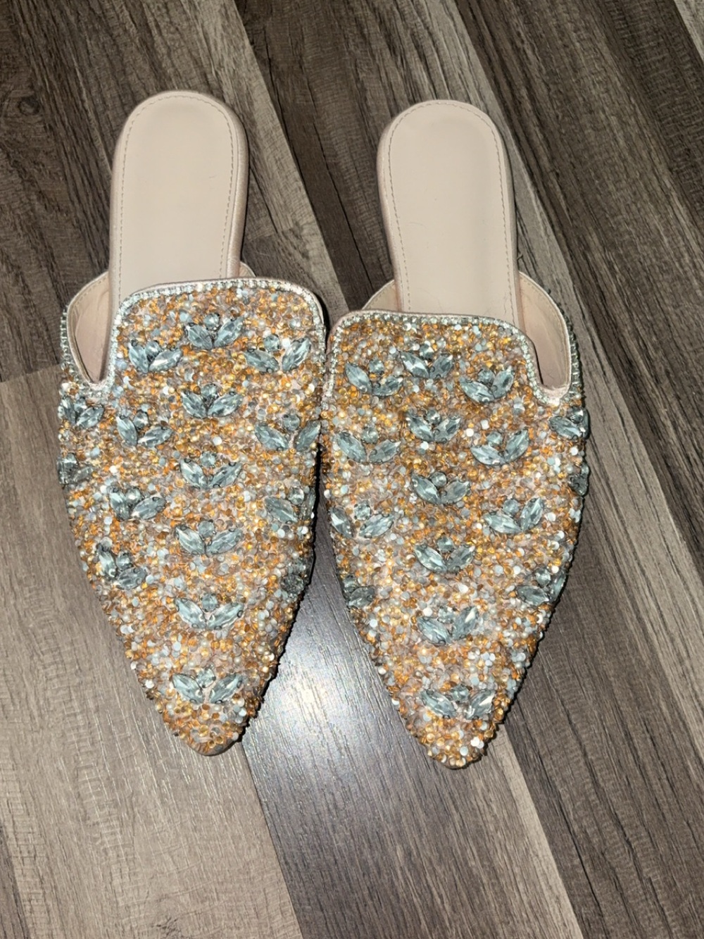 Embellished Pointed Toe Slip-On Mules in Champagne and Silver